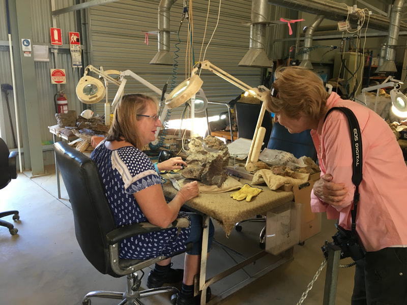 Fossil Preparation at AAOD
