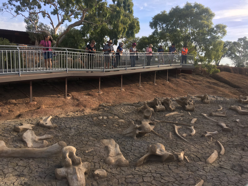 Dinosaur Canyon at Australian Age of Dinosaurs Museum