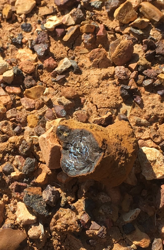 Boulder Opal